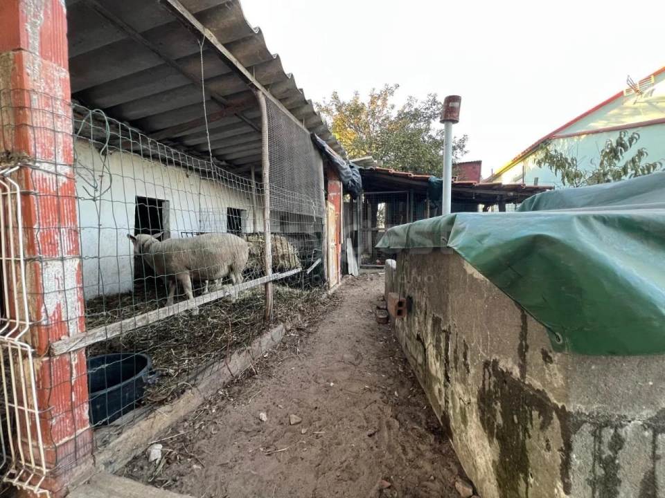 Quinta T2 para Venda em Poceirão e Marateca Foto 23