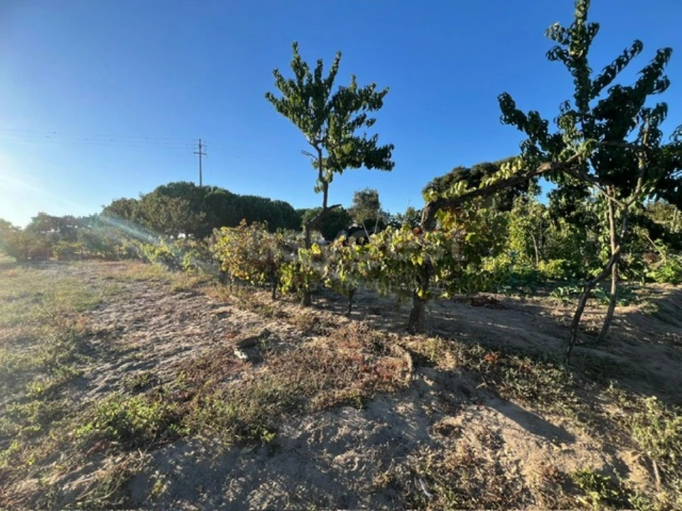 Quinta T2 para Venda em Poceirão e Marateca Foto 24
