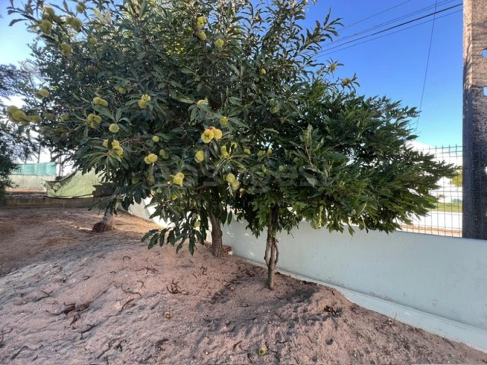 Quinta T2 para Venda em Poceirão e Marateca Foto 25