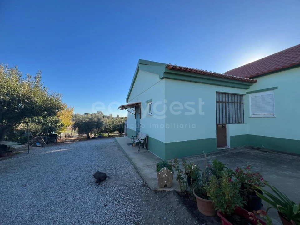 Quinta T2 para Venda em Poceirão e Marateca Foto 26