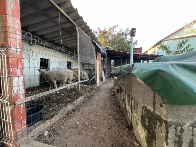 Quinta T2 para Venda em Poceirão e Marateca Foto 23