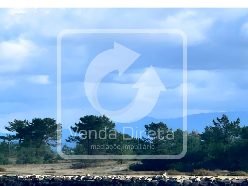 Terreno para Venda em Glória e Vera Cruz Foto 6
