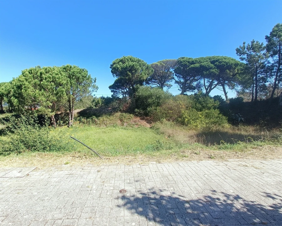 Terreno para Venda em Darque Foto 4