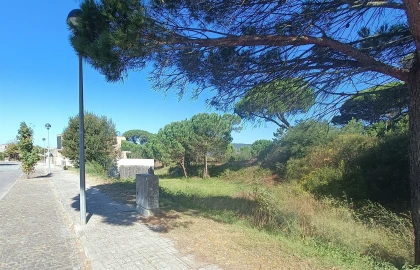 Terreno para Venda em Darque