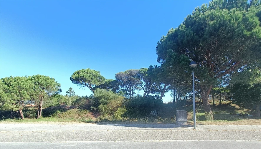Terreno para Venda em Darque Foto 3