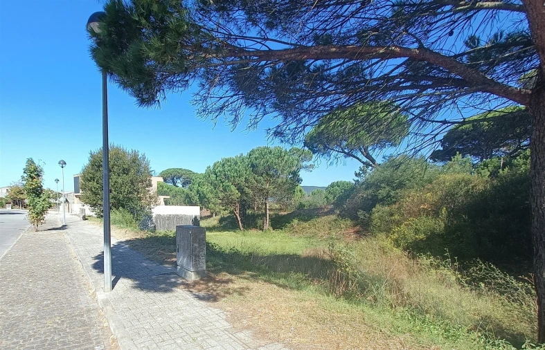 Terreno para Venda em Darque Foto 2