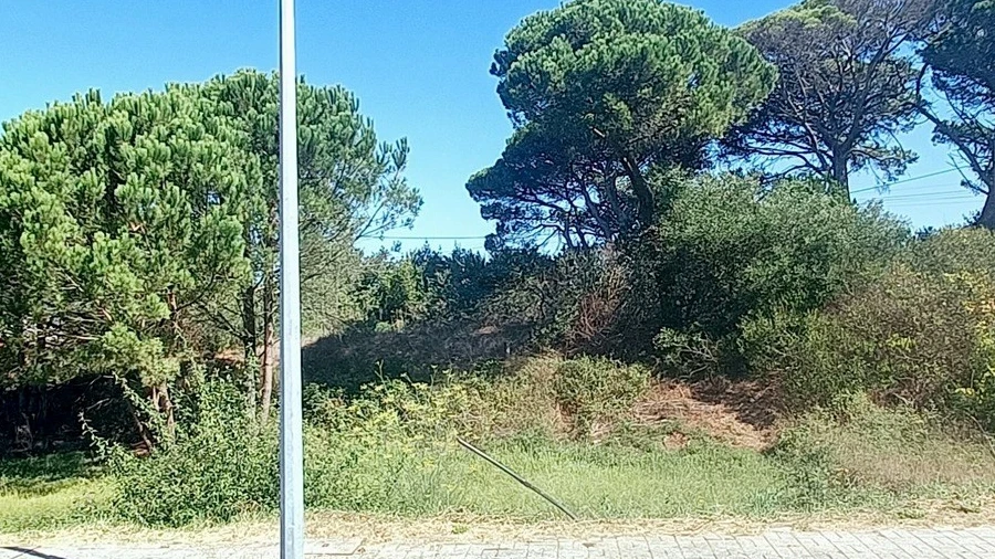 Terreno para Venda em Darque