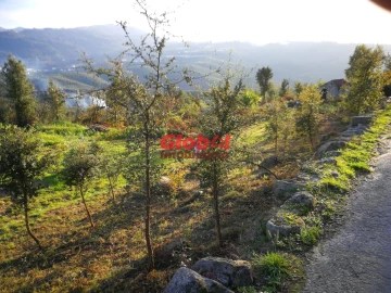 Terreno para Venda em Serrazes