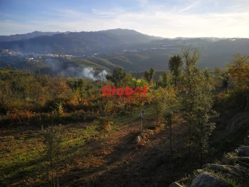 Terreno para Venda em Serrazes