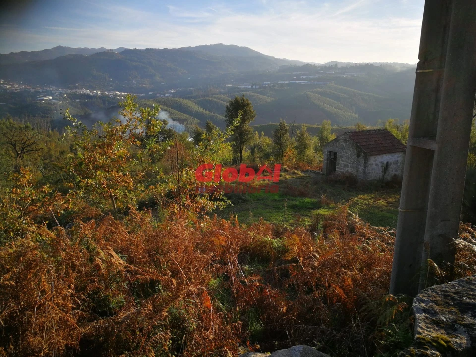 Terreno para Venda em Serrazes Foto 5