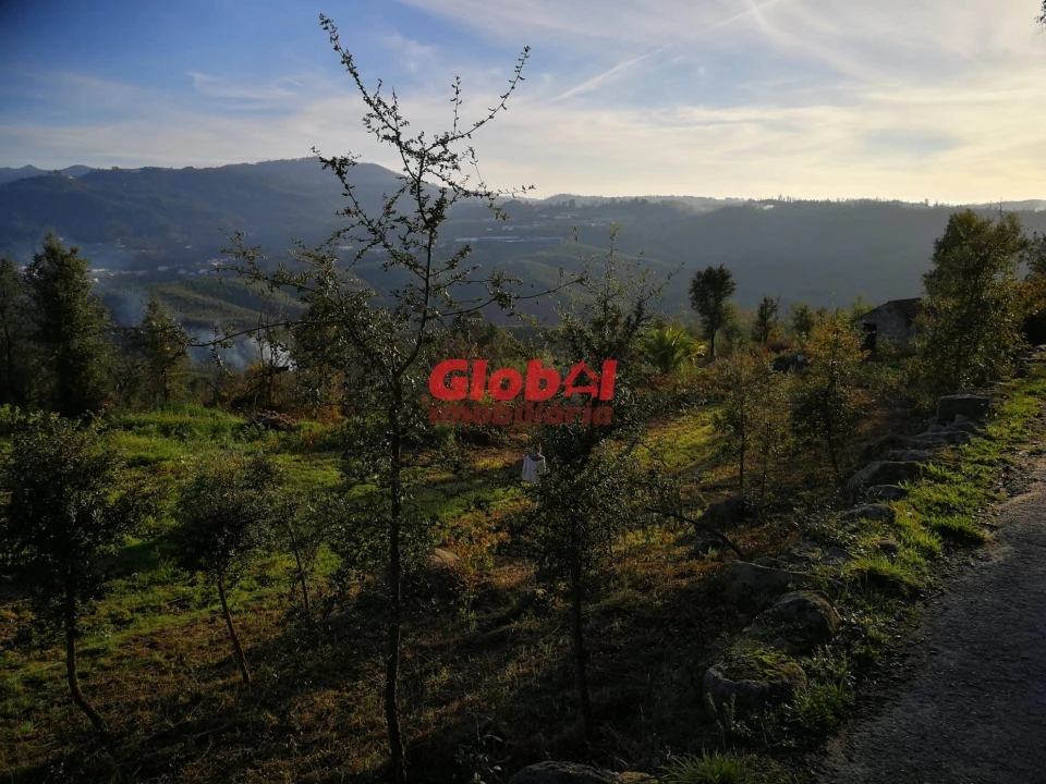 Terreno para Venda em Serrazes Foto 3