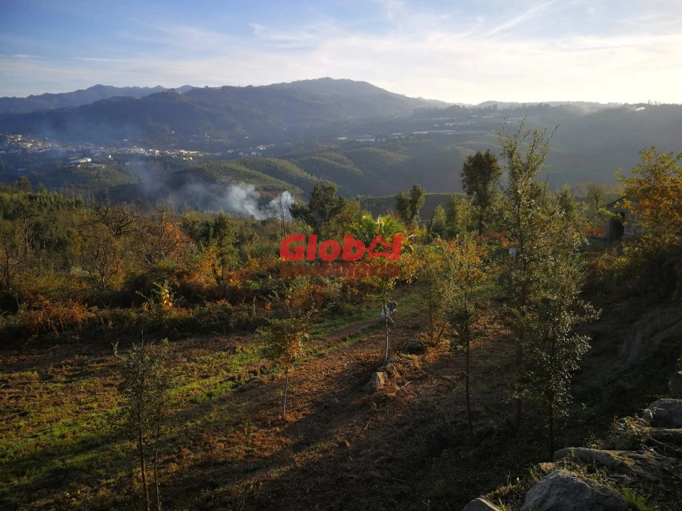 Terreno para Venda em Serrazes Foto 4