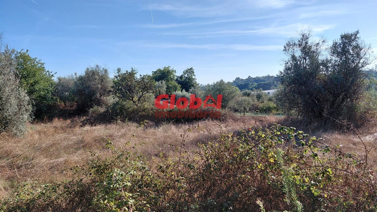 Terreno para Venda em Canas de Senhorim Foto 5