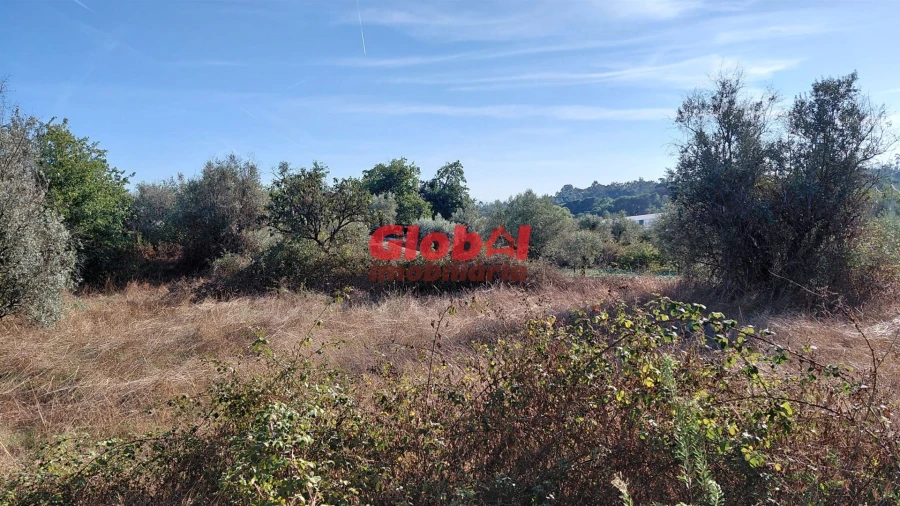 Terreno para Venda em Canas de Senhorim Foto 5
