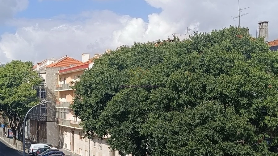 Apartamento T2 para Venda em Águas Livres