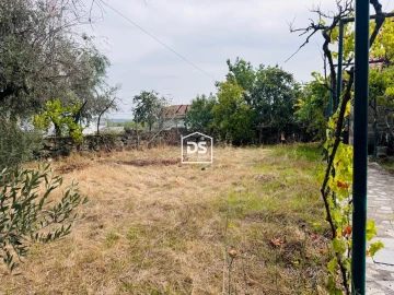 Moradia T3 para Venda em Lajeosa do Mondego