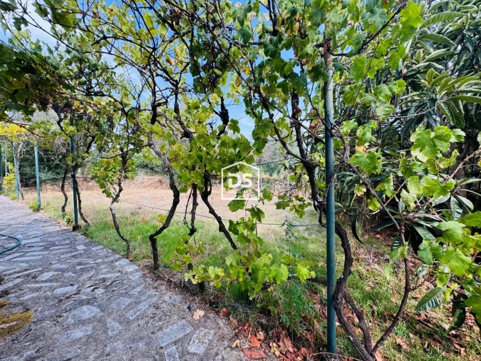 Moradia T3 para Venda em Lajeosa do Mondego Foto 35