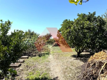 Moradia T3 para Venda em Tabua