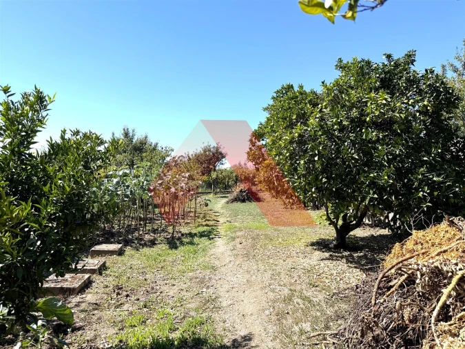 Moradia T3 para Venda em Tabua Foto 29