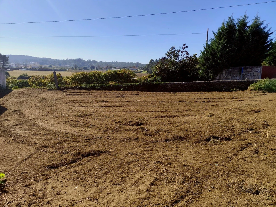 Terreno Agricola ou Rústico para Venda em Chorente, Góios, Courel, Pedra Furada e Gueral Foto 4