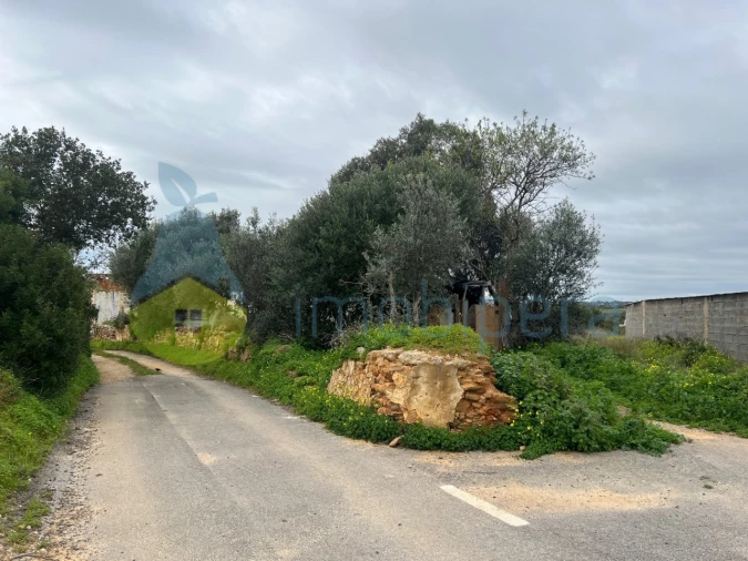 Terreno Misto para Venda em Alcantarilha e Pêra Foto 14