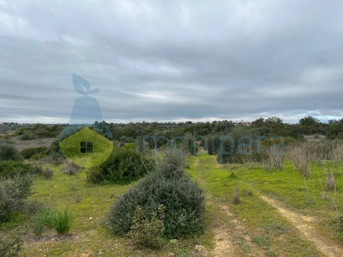 Terreno Misto para Venda em Alcantarilha e Pêra Foto 26