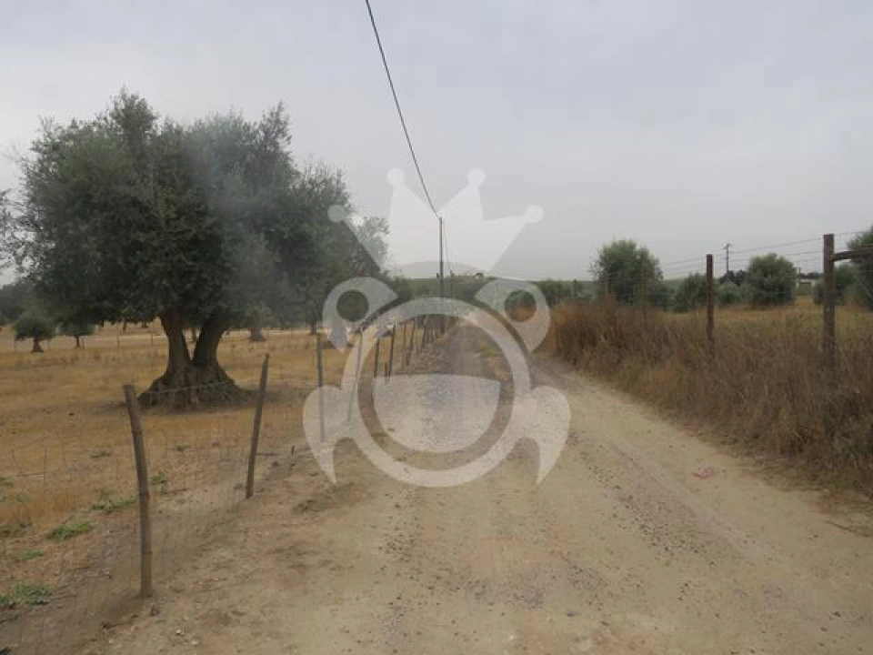 Terreno para Venda em São Manços e São Vicente do Pigeiro Foto 3