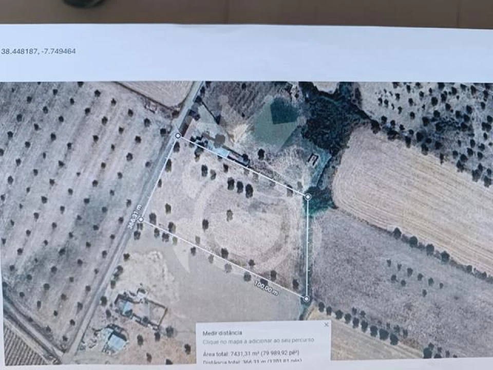 Terreno para Venda em São Manços e São Vicente do Pigeiro Foto 12