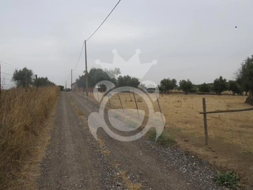 Terreno para Venda em São Manços e São Vicente do Pigeiro Foto 1