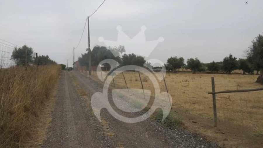 Terreno para Venda em São Manços e São Vicente do Pigeiro