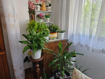 Apartamento T2 para Venda em Agualva e Mira-Sintra