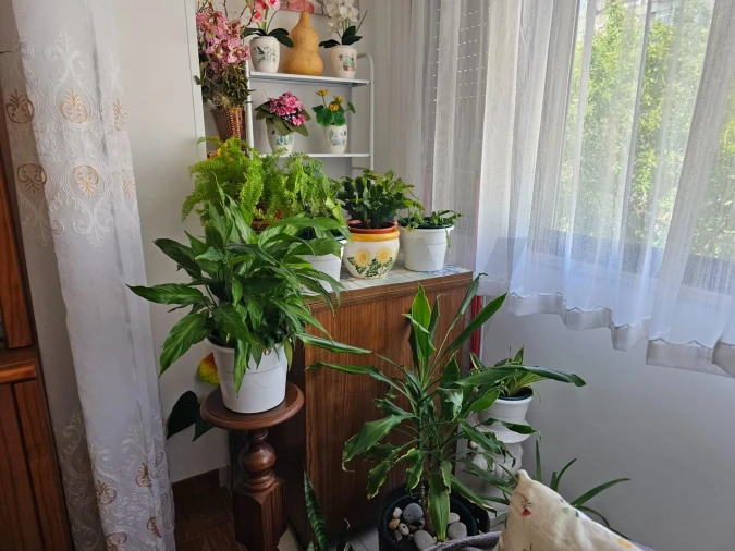 Apartamento T2 para Venda em Agualva e Mira-Sintra Foto 13