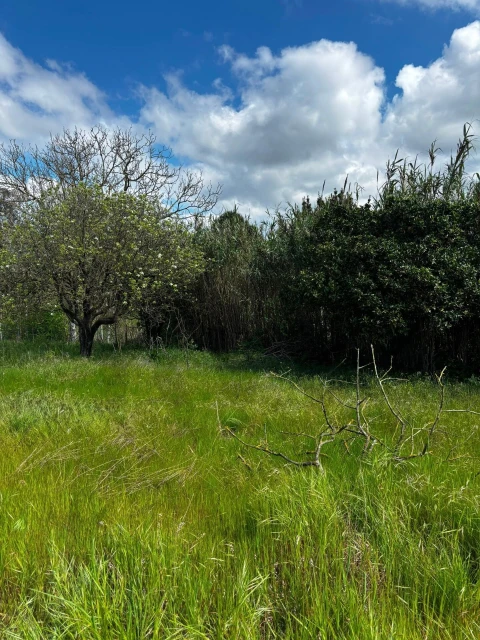Terreno para Venda em Salvaterra de Magos e Foros de Salvaterra