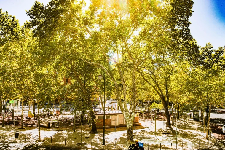 Apartamento T3 para Arrendamento em Areeiro Foto 17