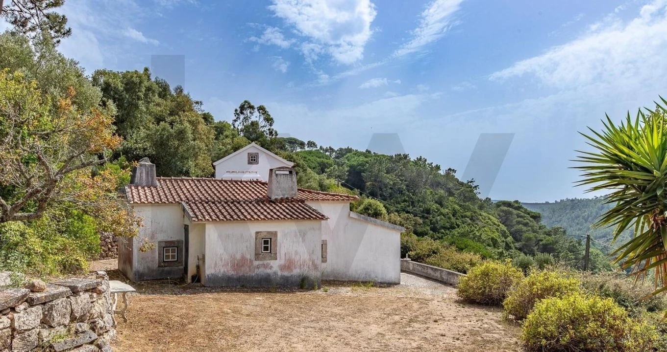 Quinta T3 para Venda em Igreja Nova e Cheleiros Foto 4