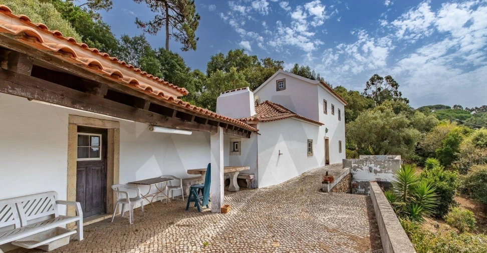 Quinta T3 para Venda em Igreja Nova e Cheleiros Foto 5