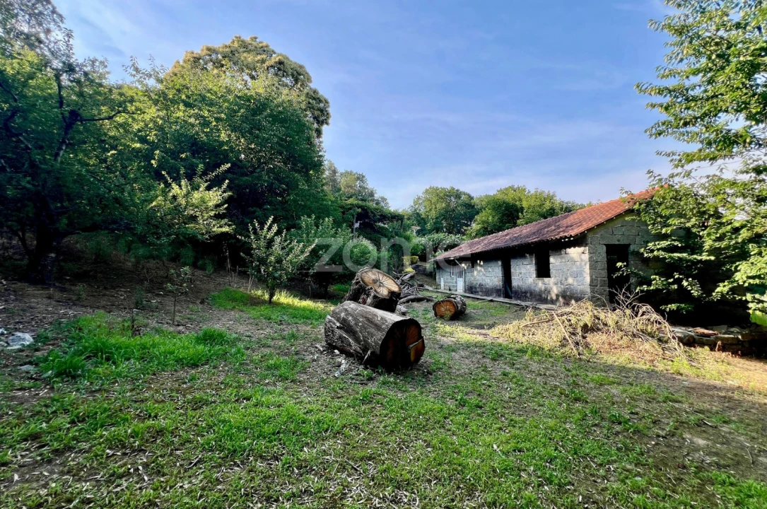 Quinta T3 para Venda em Tagilde e Vizela (São Paio) Foto 29