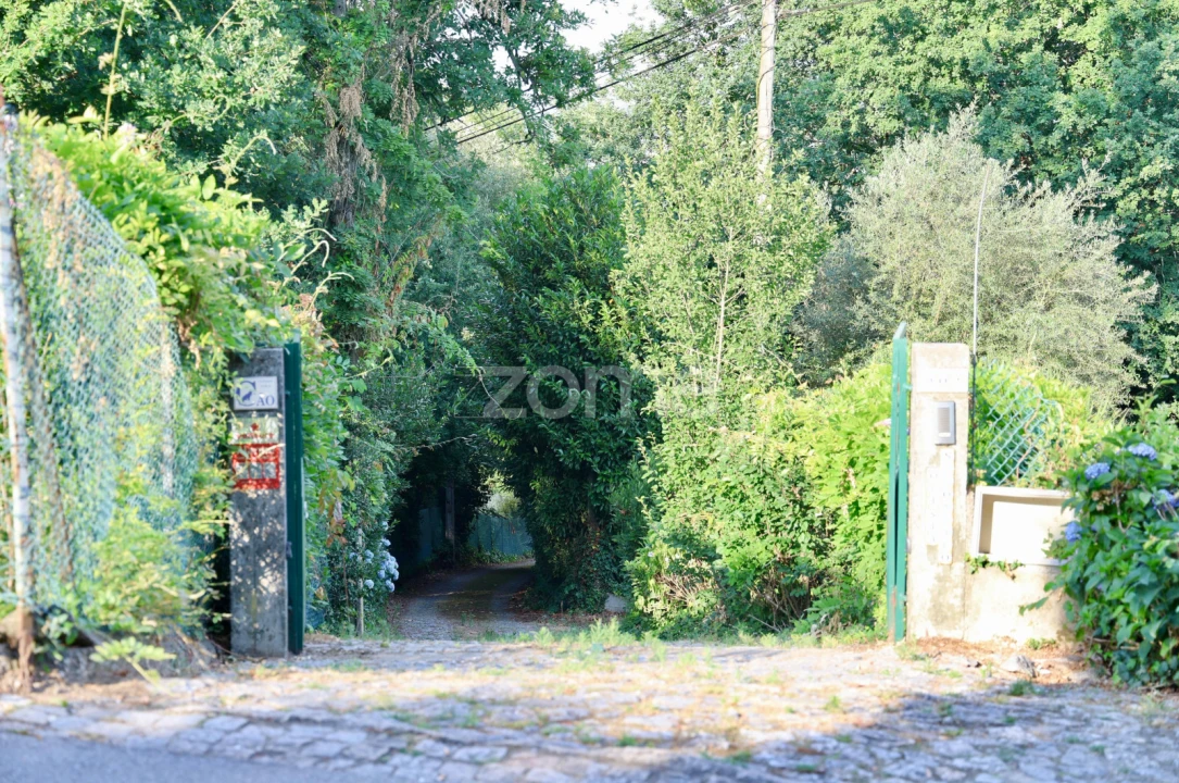 Quinta T3 para Venda em Tagilde e Vizela (São Paio) Foto 33