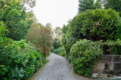 Quinta T3 para Venda em Tagilde e Vizela (São Paio)