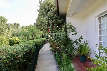 Quinta T3 para Venda em Tagilde e Vizela (São Paio)