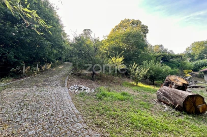 Quinta T3 para Venda em Tagilde e Vizela (São Paio)