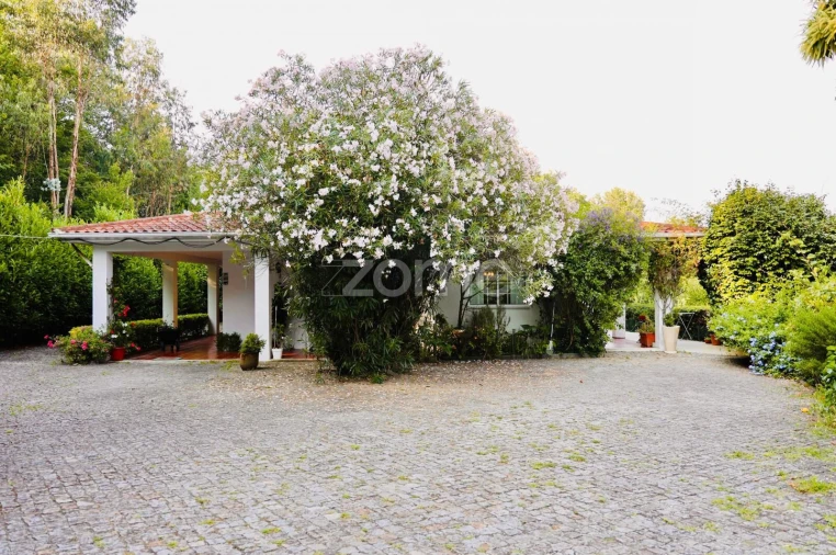 Quinta T3 para Venda em Tagilde e Vizela (São Paio) Foto 2