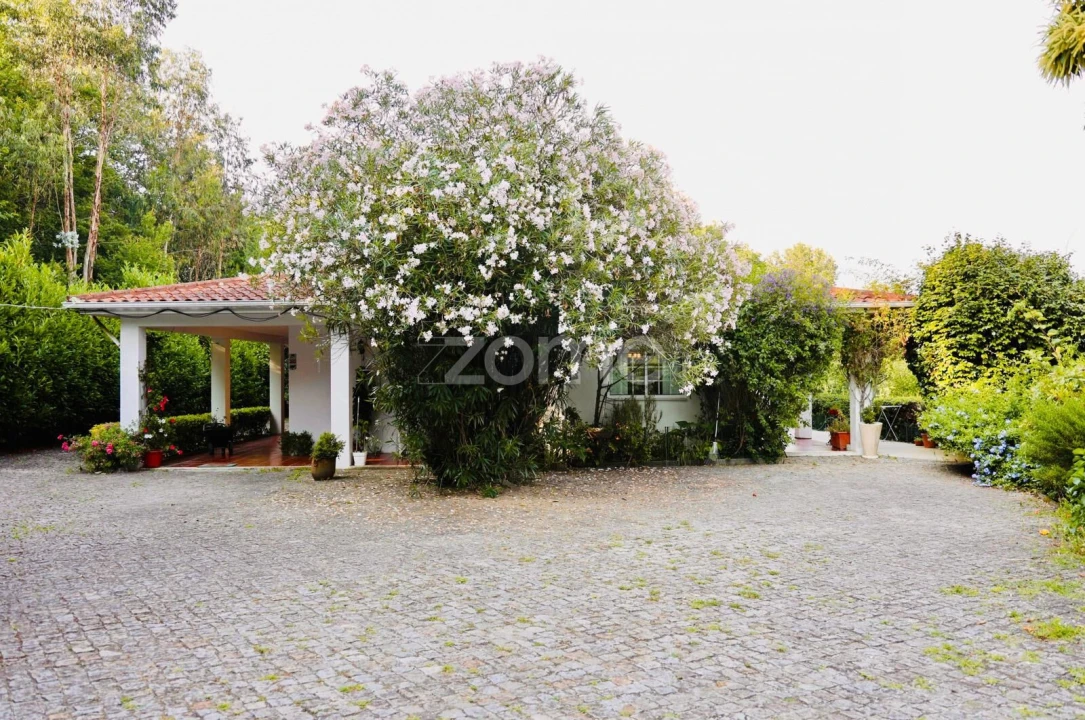 Quinta T3 para Venda em Tagilde e Vizela (São Paio) Foto 2