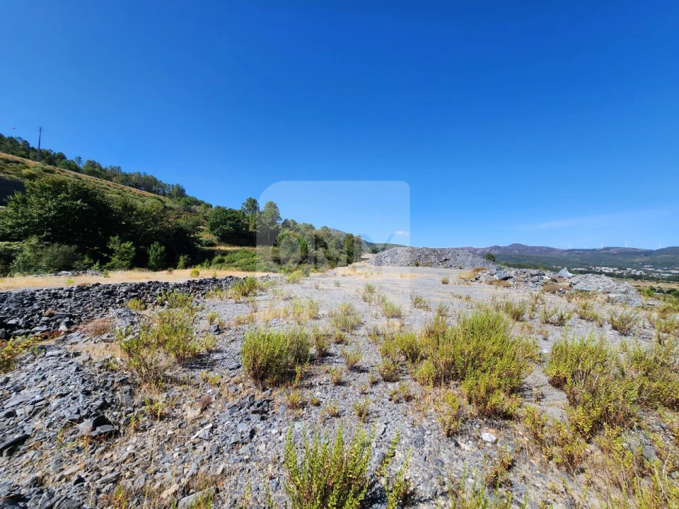 Terreno para Venda em Torgueda Foto 6