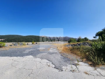 Terreno para Venda em Torgueda