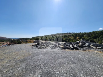 Terreno para Venda em Torgueda