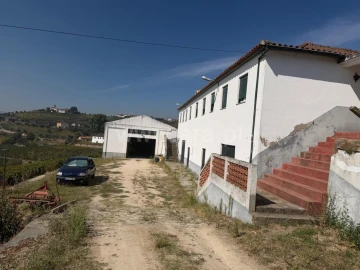 Quinta T4 para Venda em Fontelas
