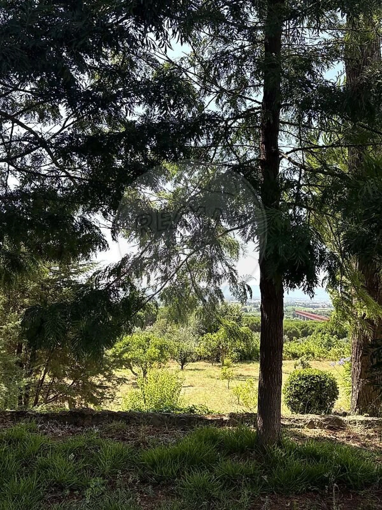 Moradia T10 para Venda em Chamusca e Pinheiro Grande Foto 6