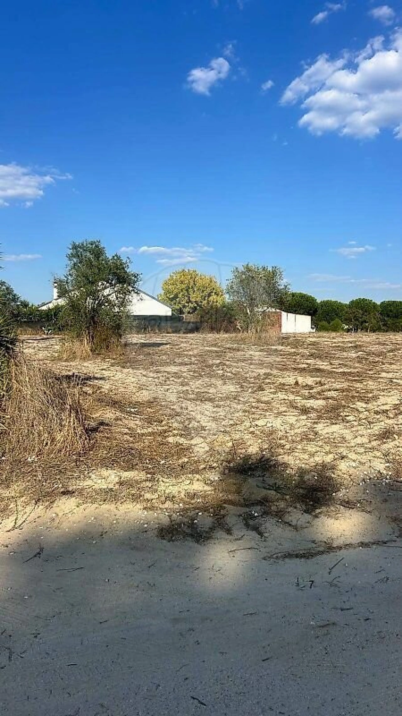 Terreno para Venda em Branca Foto 4