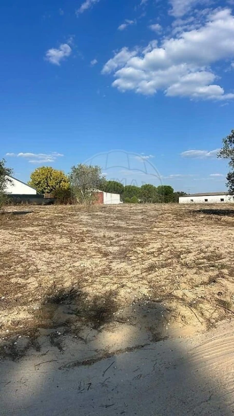Terreno para Venda em Branca